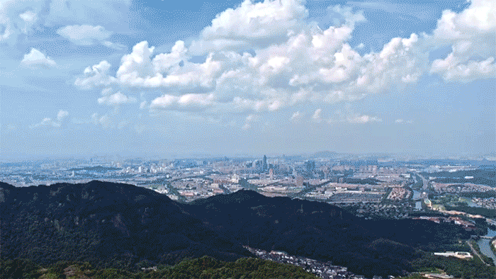 時政微紀錄丨習(xí)近平總書記浙魯行