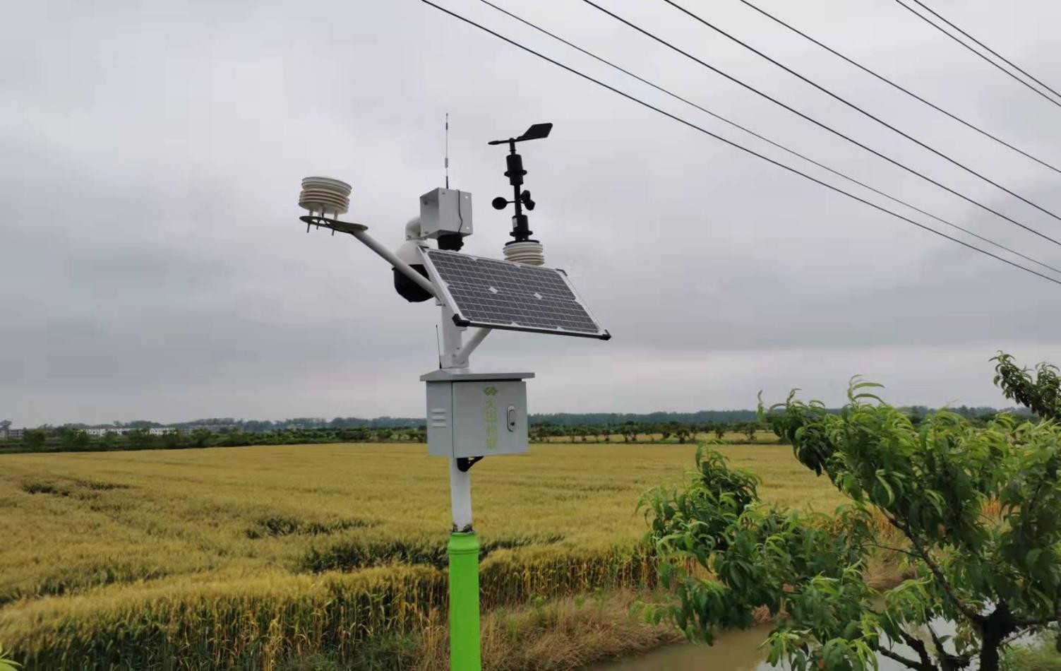 稻花香里說(shuō)豐年丨忙收割、忙接單……中原大地全面進(jìn)入“收秋時(shí)間”