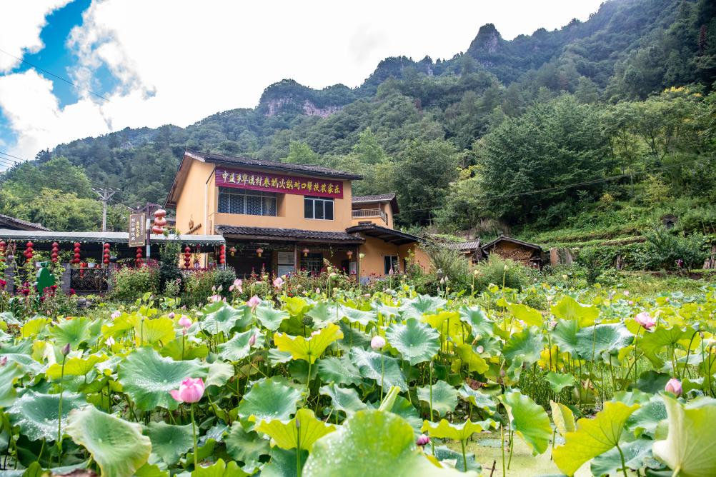 新時(shí)代新征程新偉業(yè)·習(xí)近平總書(shū)記關(guān)切事丨奔跑吧，我的村寨——重慶華溪村蹲點(diǎn)調(diào)研筆記