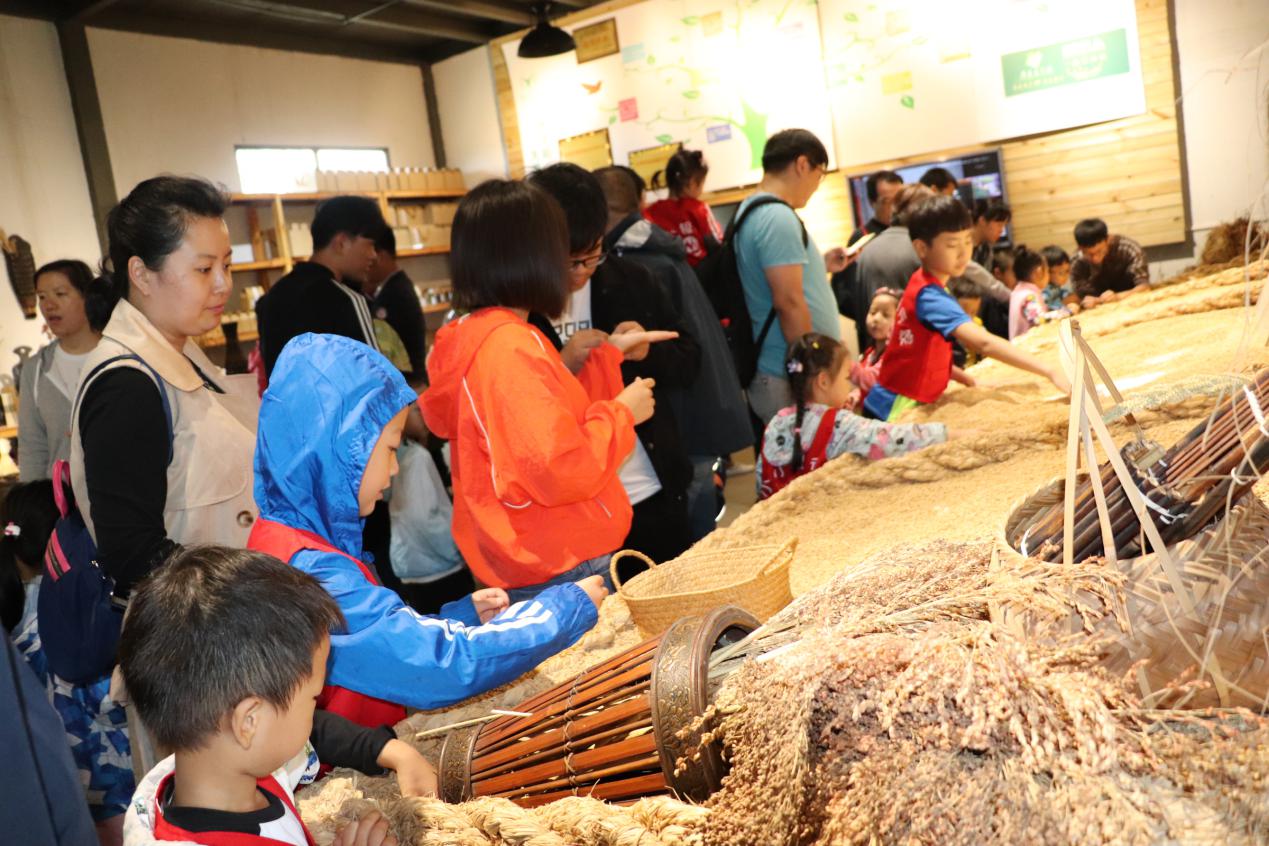 稻花香里說(shuō)豐年丨黃河岸邊稻花香 展開(kāi)美麗鄉(xiāng)村新畫(huà)卷