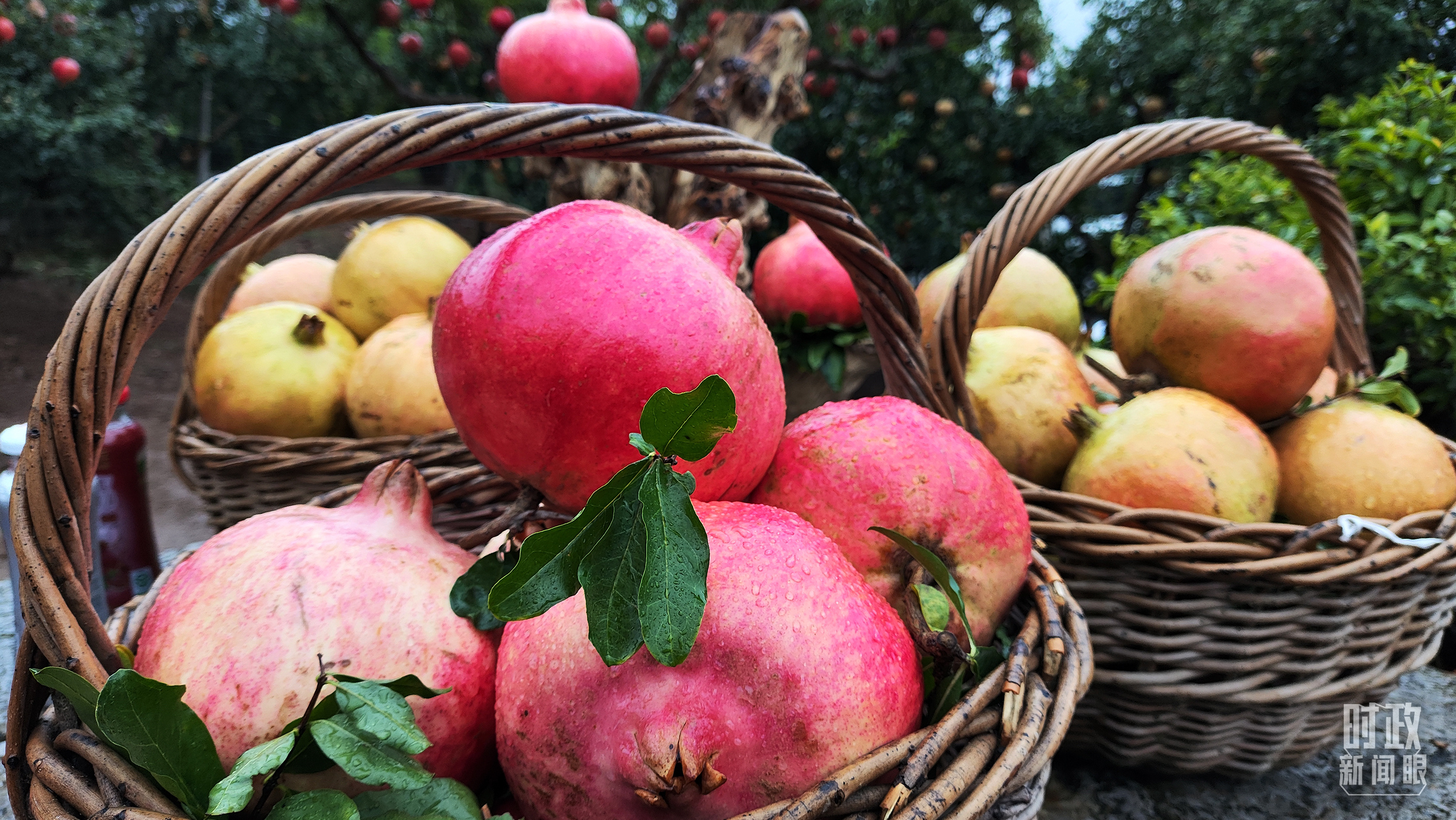 時(shí)政新聞眼丨從浙江到山東棗莊，習(xí)近平這一次考察重點(diǎn)強(qiáng)調(diào)了什么？