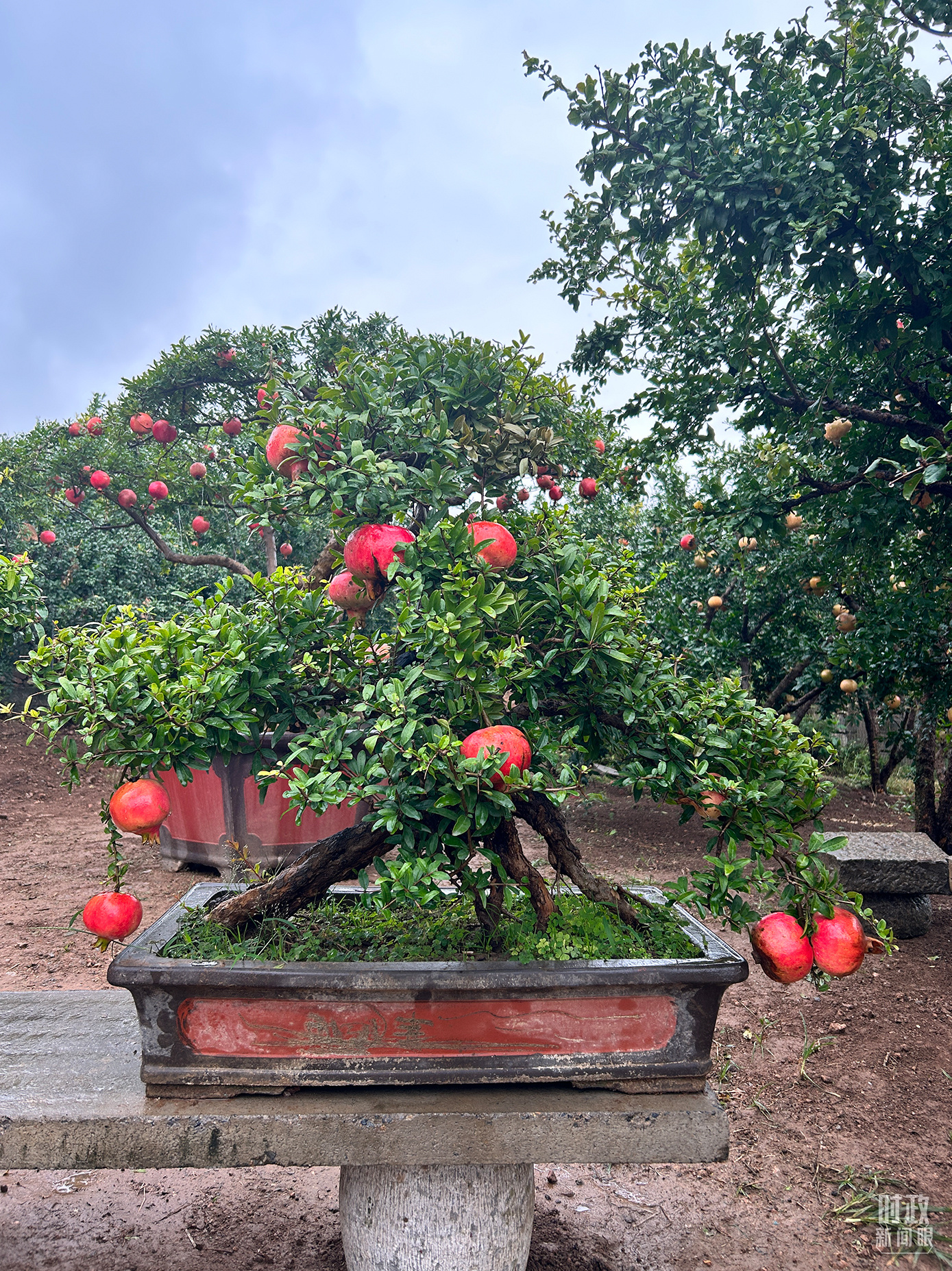 時(shí)政新聞眼丨從浙江到山東棗莊，習(xí)近平這一次考察重點(diǎn)強(qiáng)調(diào)了什么？
