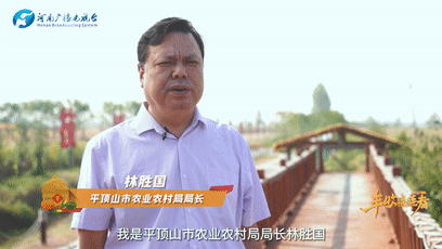 鷹城還盛產(chǎn)韭菜和肉鴿？平頂山農(nóng)業(yè)農(nóng)村局局長@你來富硒糧倉曬早秋！