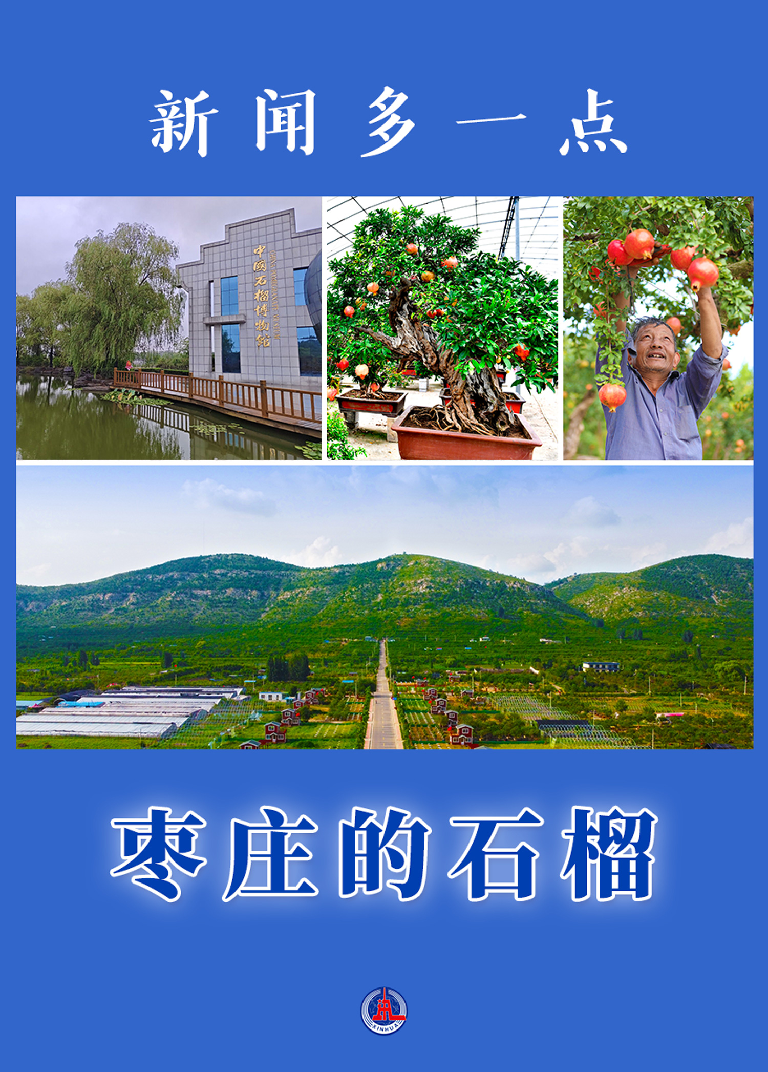 新聞多一點 | 棗莊的石榴