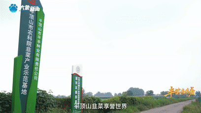 鷹城還盛產(chǎn)韭菜和肉鴿？平頂山農(nóng)業(yè)農(nóng)村局局長@你來富硒糧倉曬早秋！