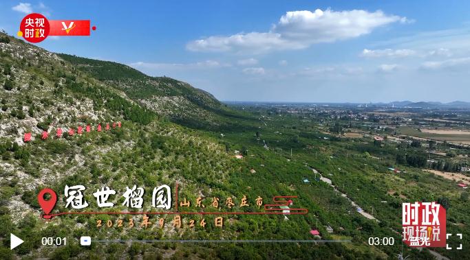 時政現(xiàn)場說丨山東棗莊：小石榴譜寫產(chǎn)業(yè)振興大文章