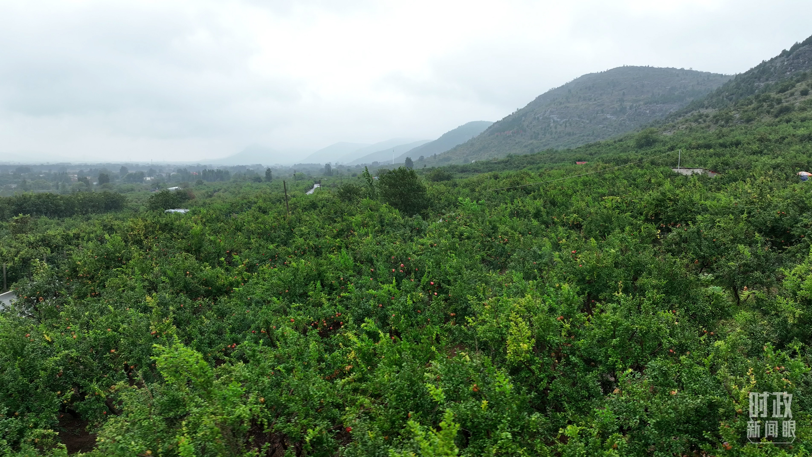 時(shí)政新聞眼丨從浙江到山東棗莊，習(xí)近平這一次考察重點(diǎn)強(qiáng)調(diào)了什么？