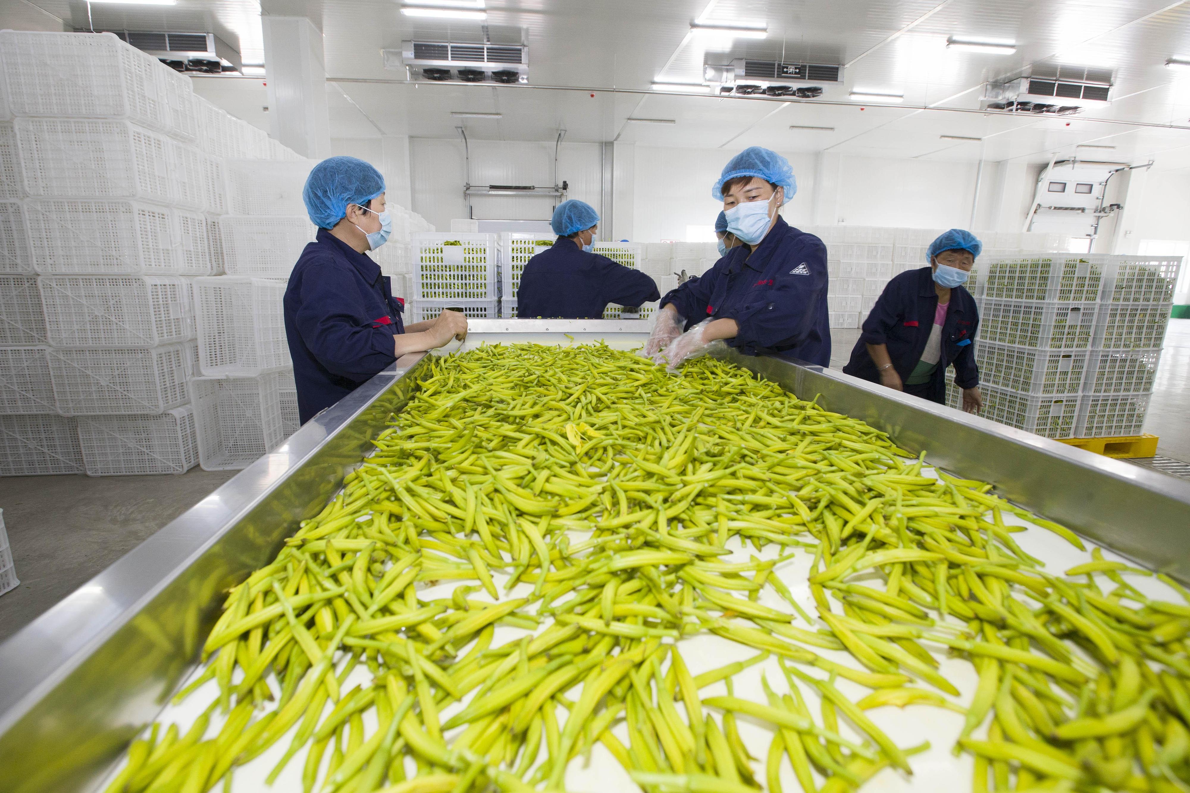 熱解讀|火紅石榴如何帶來(lái)紅火生活 總書(shū)記再談這篇“大文章”