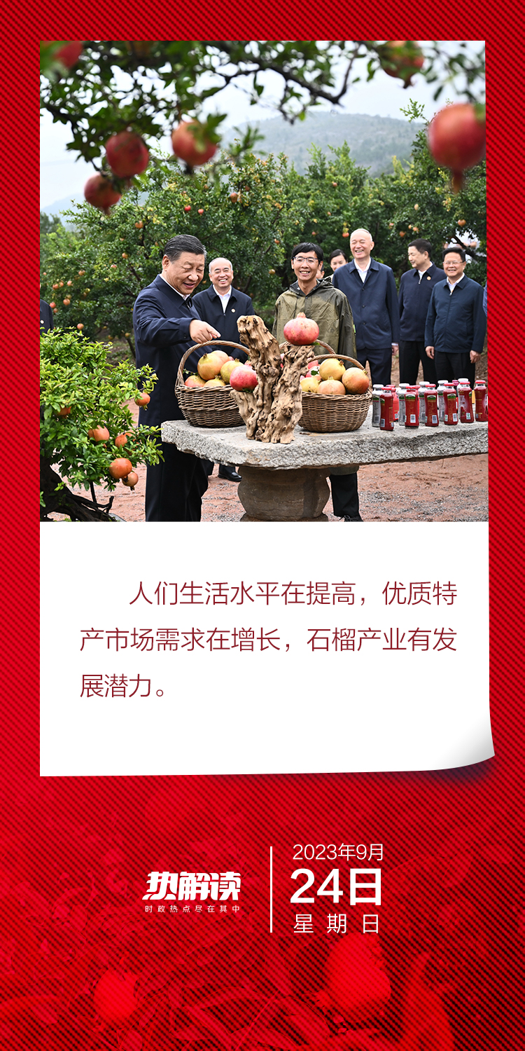 熱解讀|火紅石榴如何帶來(lái)紅火生活 總書(shū)記再談這篇“大文章”
