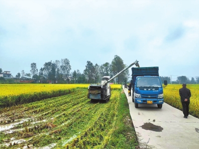 豫見(jiàn)“三秋”| 堅(jiān)決打好秋收關(guān)鍵一戰(zhàn)