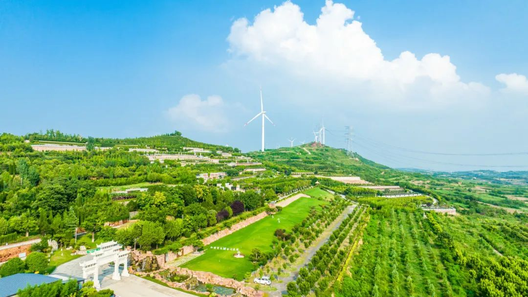 十年如一日，他們堅(jiān)守在建設(shè)綠水青山的第一線