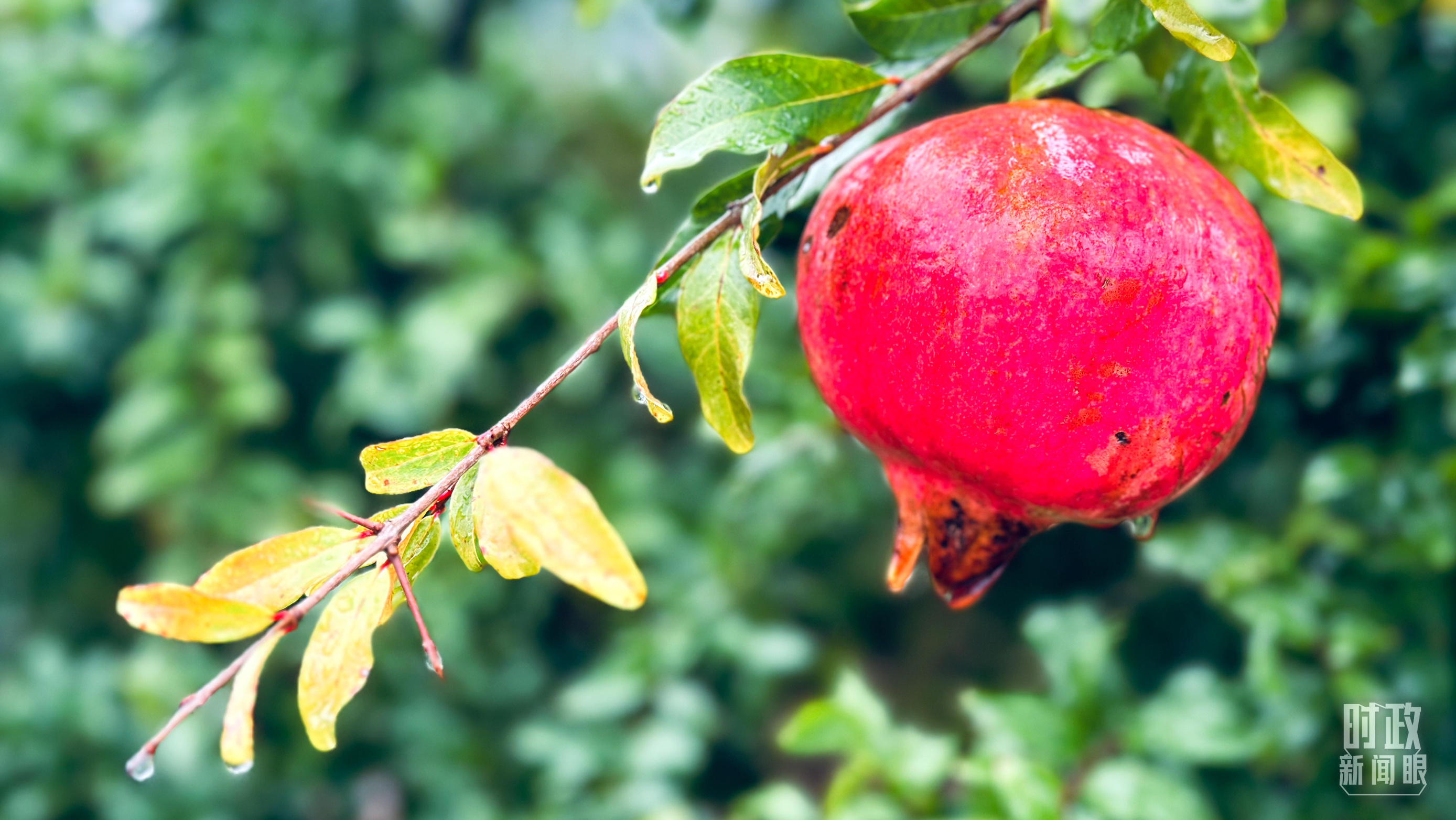 時(shí)政新聞眼丨在國慶招待會上，習(xí)近平強(qiáng)調(diào)“團(tuán)結(jié)就是力量，信心賽過黃金”
