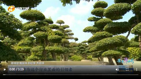 當國慶遇上中秋，看河南十八地市“豫拼豫出彩”