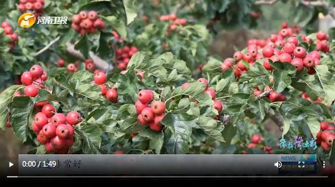 當國慶遇上中秋，看河南十八地市“豫拼豫出彩”