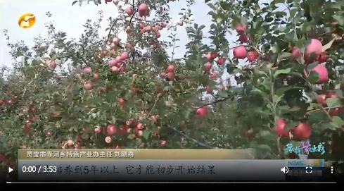 當國慶遇上中秋，看河南十八地市“豫拼豫出彩”