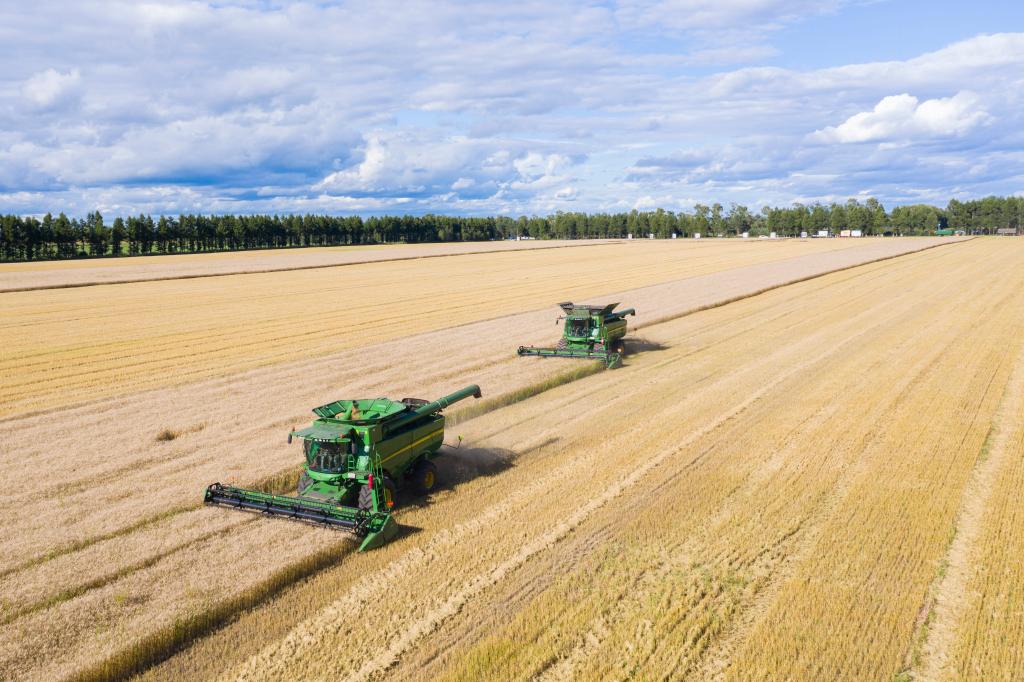 新時代新征程新偉業(yè)·習(xí)近平總書記關(guān)切事丨“北大倉”：當(dāng)好國家糧食安全“壓艙石”