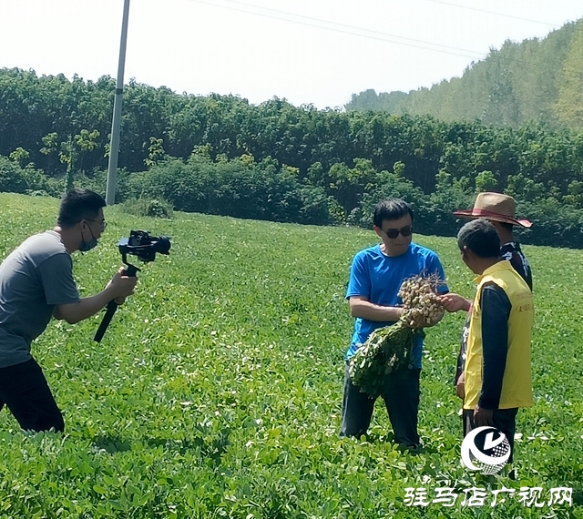 正陽縣：家庭農場解鎖鄉(xiāng)村致富“密碼”