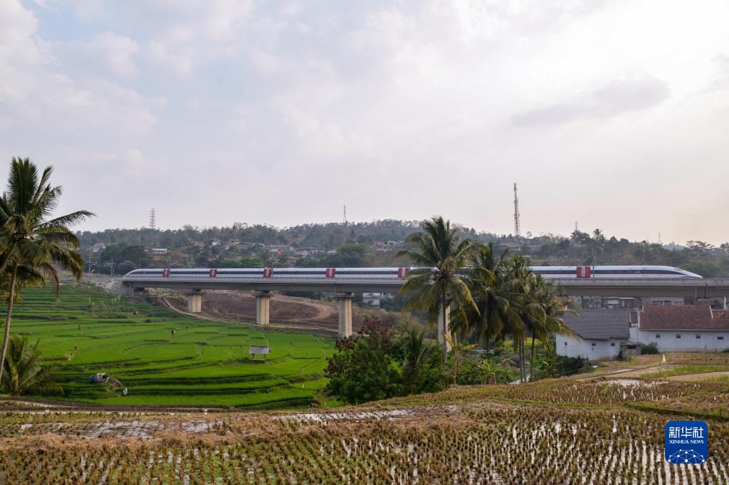 中印尼共建“一帶一路”合作的“金字招牌”——記習近平主席關(guān)心推動的雅萬高鐵正式開通運營