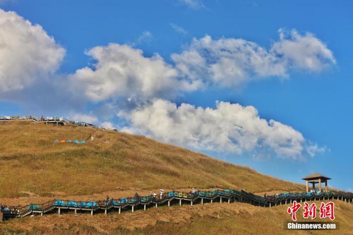 重陽(yáng)節(jié)的小知識(shí)：為啥又叫菊花節(jié)？重陽(yáng)糕長(zhǎng)啥樣？