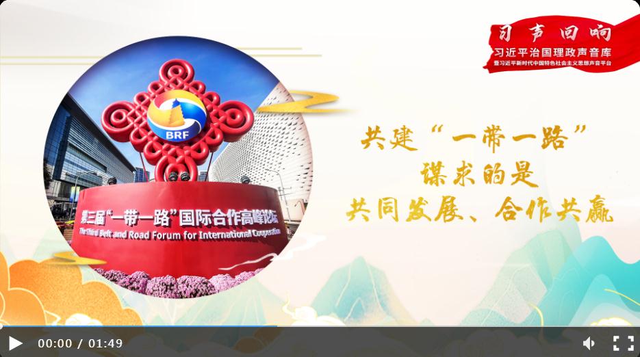 【大道共通】習(xí)聲回響丨共建“一帶一路”謀求的是共同發(fā)展、合作共贏