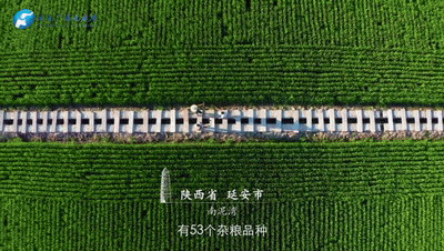 《從延安到紅旗渠》：一脈相承，永遠(yuǎn)震撼人心