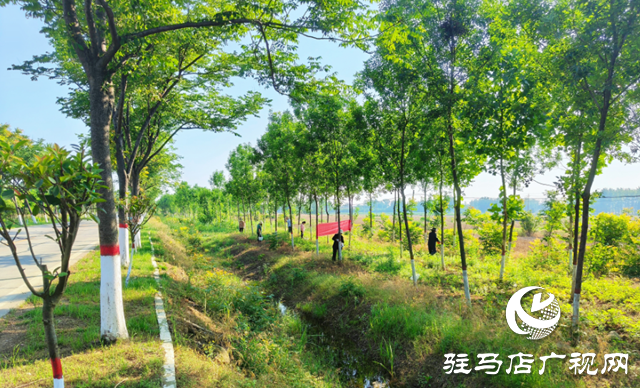 泌陽縣雙廟街鄉(xiāng)：推動人居環(huán)境提檔升級 全力打造美麗鄉(xiāng)村