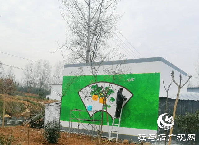 泌陽縣雙廟街鄉(xiāng)：推動人居環(huán)境提檔升級 全力打造美麗鄉(xiāng)村