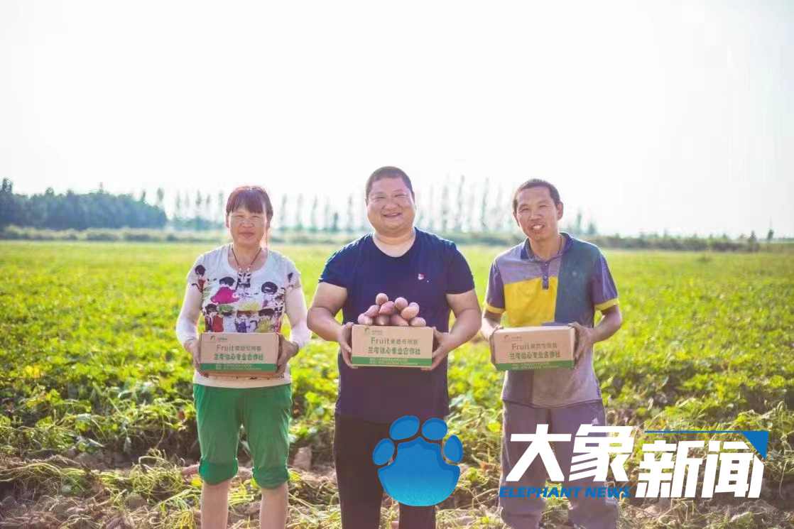 蘭考的“后浪”們，身上還是焦書記那股子“干勁”