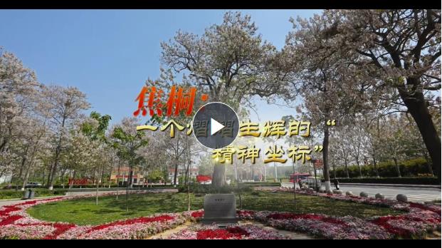 精神的力量丨焦桐，一個(gè)熠熠生輝的“精神坐標(biāo)”