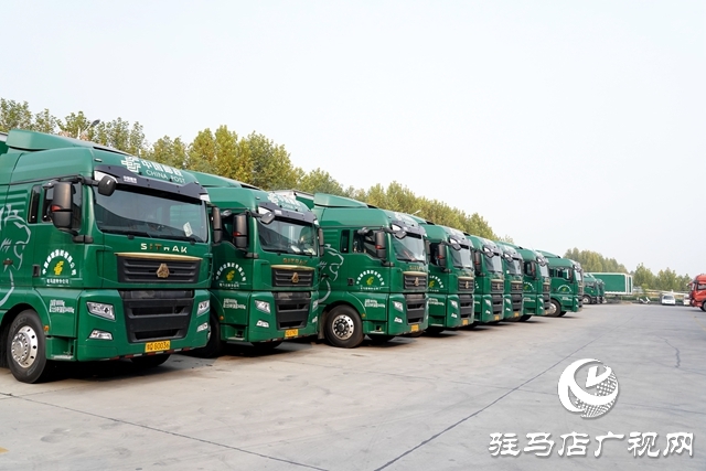 2.整裝待發(fā)的郵運(yùn)車輛.JPG