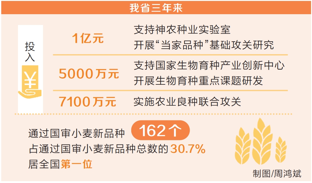 新時(shí)代 新征程 新偉業(yè) | 勇攀種業(yè)新高峰 ——寫在2023中原農(nóng)谷國際種業(yè)大會(huì)開幕之際
