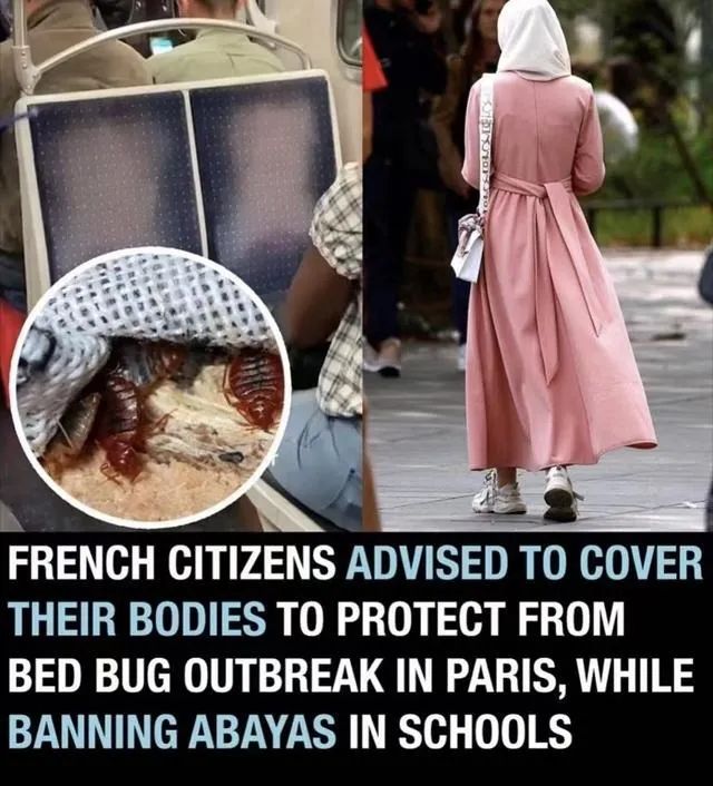 以人類血液為食！多國爆發(fā)，已蔓延至亞洲