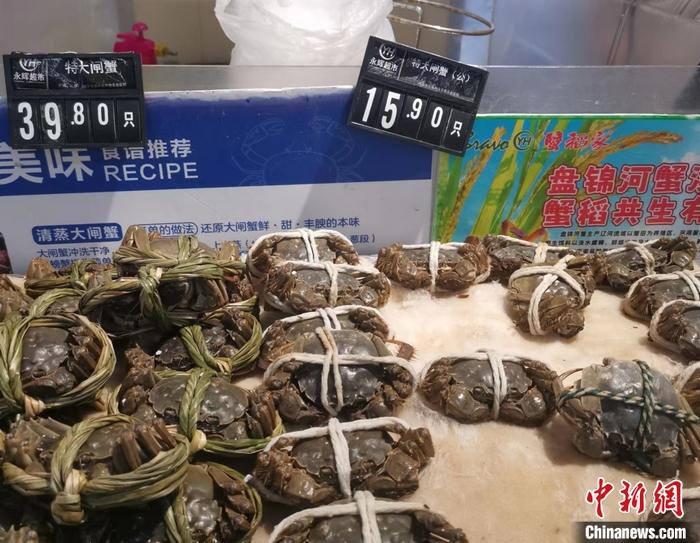 你吃大閘蟹了嗎？降價了，便宜的一只不到10元