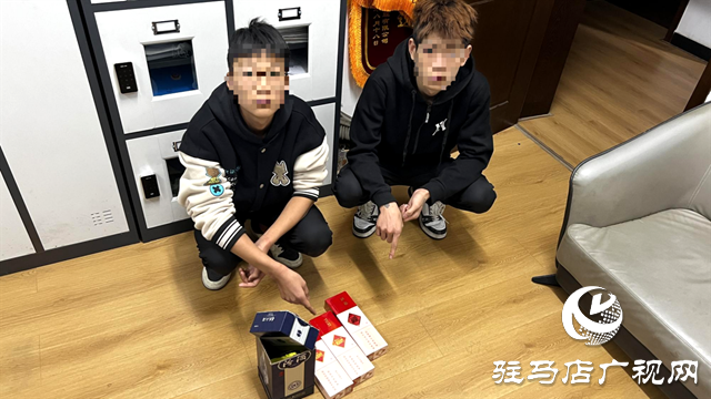 駐馬店經(jīng)開(kāi)區(qū)金河派出所：成功破獲一起拉車門(mén)盜竊案