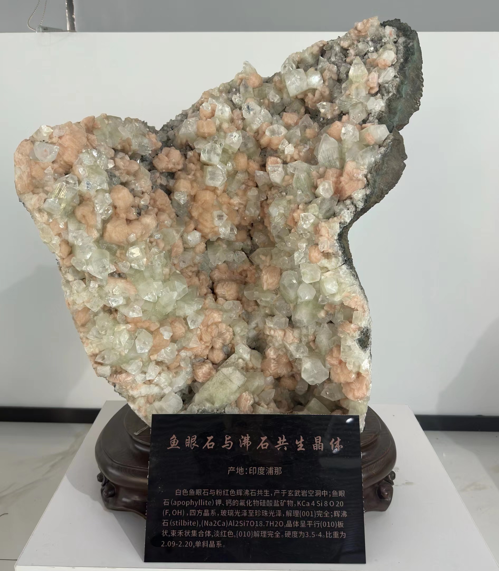 大學(xué)里的寶藏博物館?丨來一場“石”光之旅，探尋地球的記憶