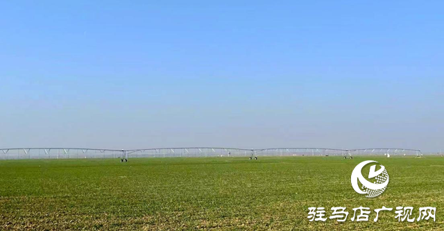 駐馬店：推進(jìn)高標(biāo)準(zhǔn)農(nóng)田建設(shè) 夯實糧食安全根基