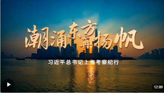 時(shí)政微紀(jì)錄丨潮涌東方再揚(yáng)帆——習(xí)近平總書記上海考察紀(jì)行