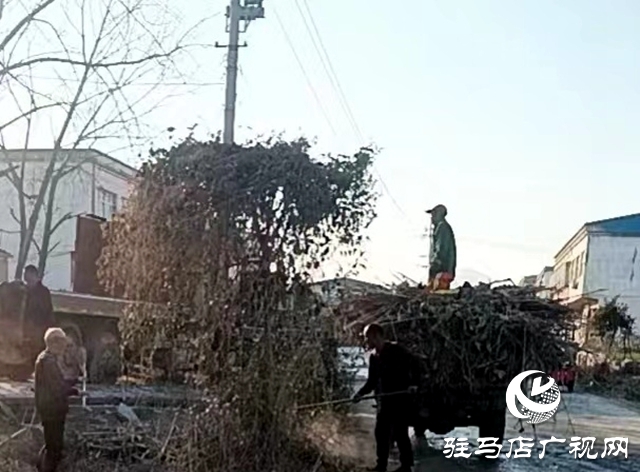 泌陽(yáng)縣象河鄉(xiāng)：整治人居環(huán)境，助力鄉(xiāng)村振興