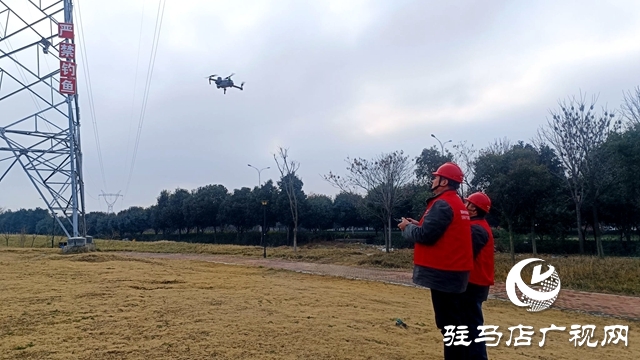 國網(wǎng)平輿縣供電公司確保電網(wǎng)安全運(yùn)行、穩(wěn)定度過寒潮
