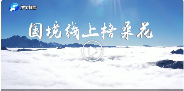 總書記的回信第二季|國境線上格?；? width=