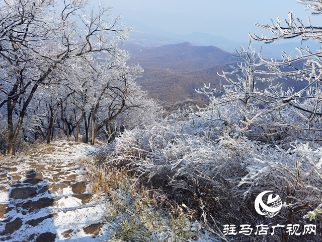 【組圖】駐馬店金頂山：漫山玉樹(shù)瓊枝如夢(mèng)如畫