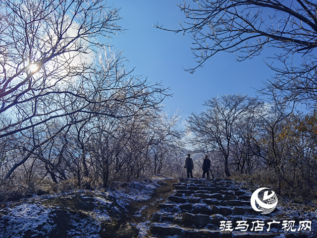 【組圖】駐馬店金頂山：漫山玉樹(shù)瓊枝如夢(mèng)如畫