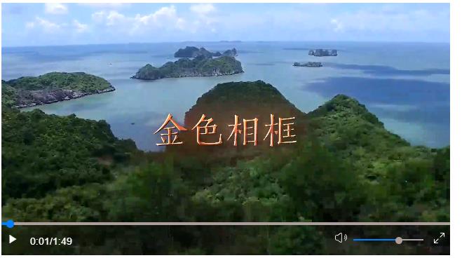 攜手奔赴中越命運(yùn)共同體的美好明天——中共中央總書記、國家主席習(xí)近平越南之行紀(jì)實(shí)