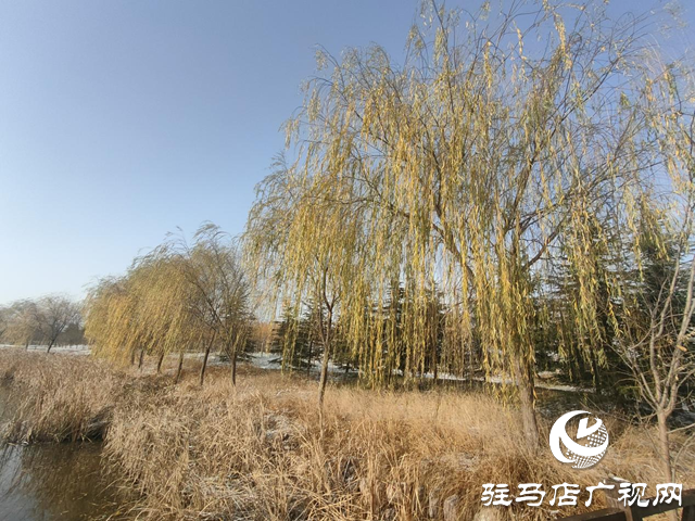 新蔡縣：&ldquo;五湖四帶&rdquo;披銀裝 雪中風(fēng)景美如畫