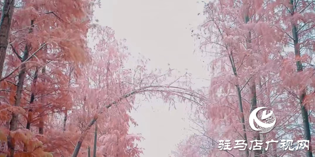 新蔡縣：&ldquo;五湖四帶&rdquo;披銀裝 雪中風(fēng)景美如畫