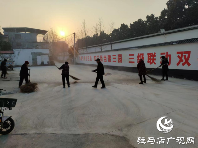 平輿縣李屯鎮(zhèn)：凝心聚力謀劃“雙提升”工程 構(gòu)建合力開展“四大攻堅(jiān)日”行動(dòng)
