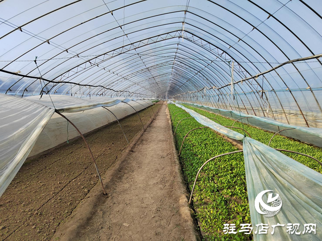 市天中生態(tài)農(nóng)業(yè)：市委五屆五次全會暨市委經(jīng)濟工作會議精神進一步激發(fā)創(chuàng)新意識