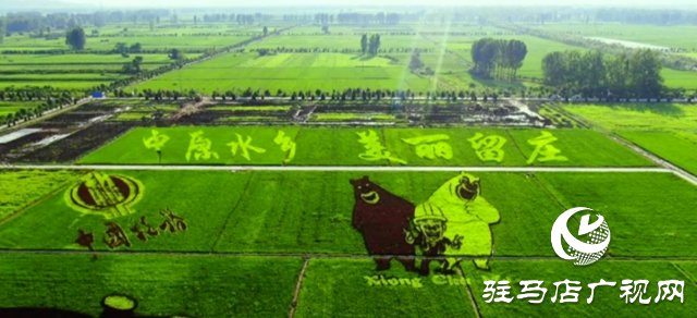 確山縣：留莊上榜省級產(chǎn)業(yè)強(qiáng)鎮(zhèn)