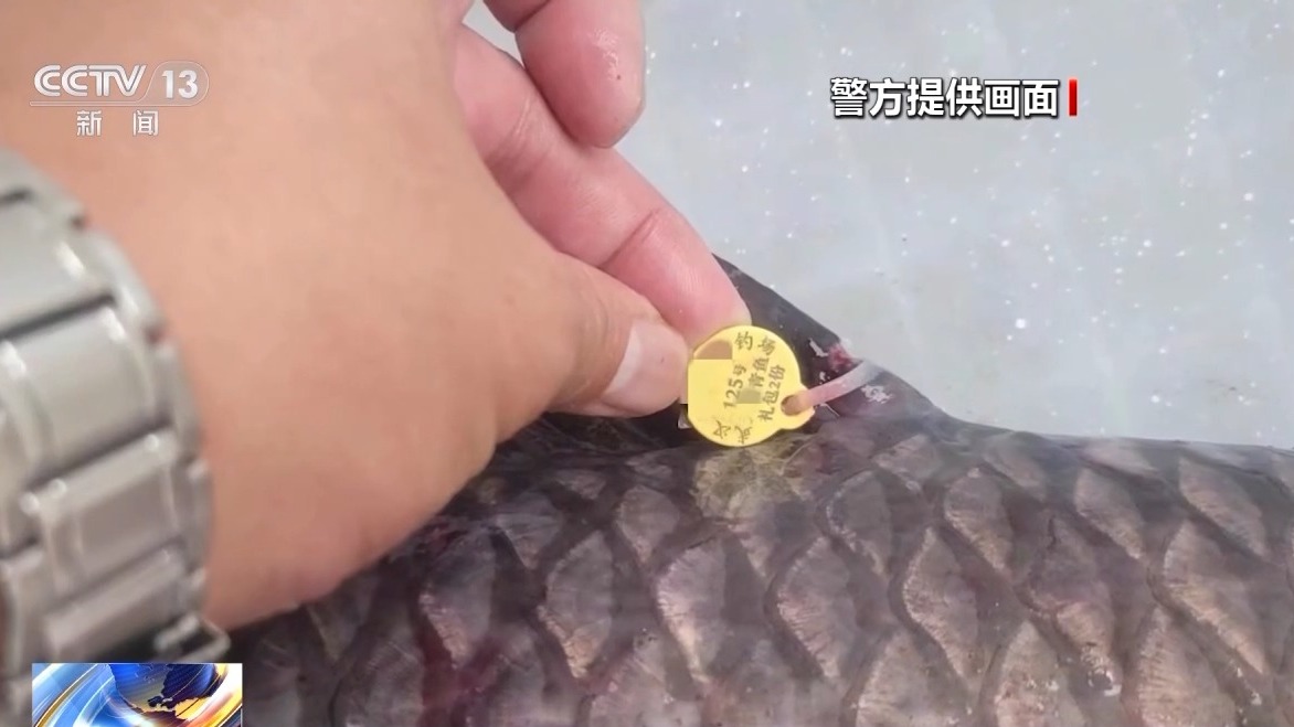 一條魚價值60萬元？釣魚場變“賭場” 警方抓獲86人