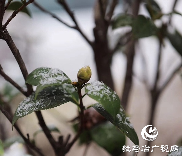 2月4日立春，農(nóng)歷又是無(wú)春年